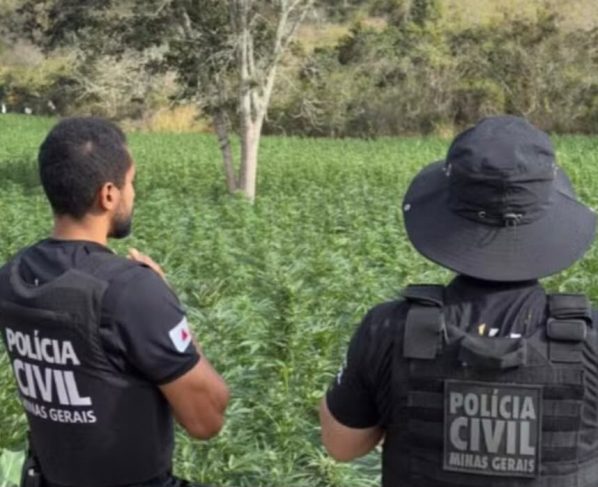 Foto: Polícia Civil