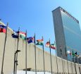 Foto: Arnaldo Jr / Shutterstock.com