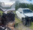 Polícia investiga se carro com vereador invadiu a contramão. Foto: Reprodução/Redes sociais